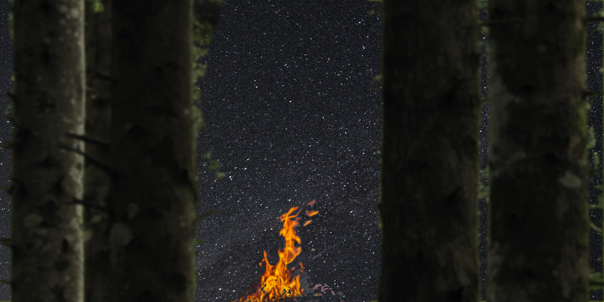 Notte nella Foresta: silenzio, fuoco e stelle